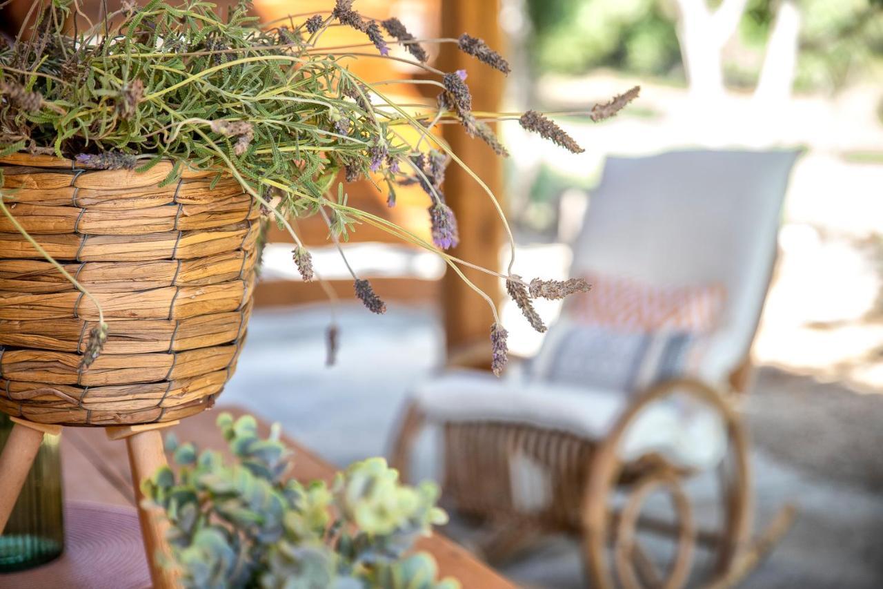 Sardinia Re - Casa Luisa With Pool Apartment Алгеро Екстериор снимка